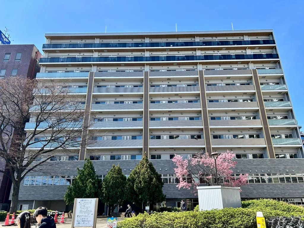 ステラテラス メインビジュアル 2