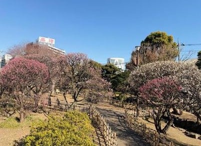 聖蹟蒲田梅屋敷公園