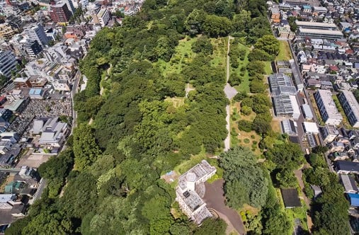 小石川植物園