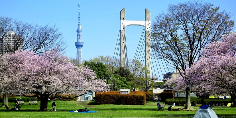 木場公園