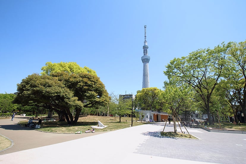 隅田公園