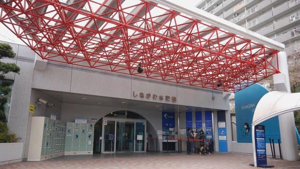 しながわ水族館
