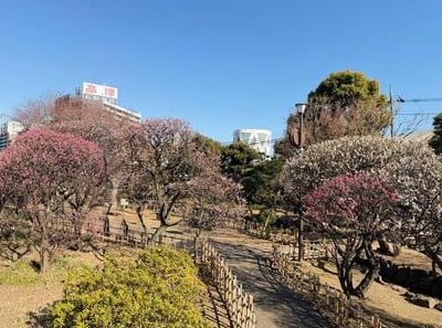 聖蹟蒲田梅屋敷公園