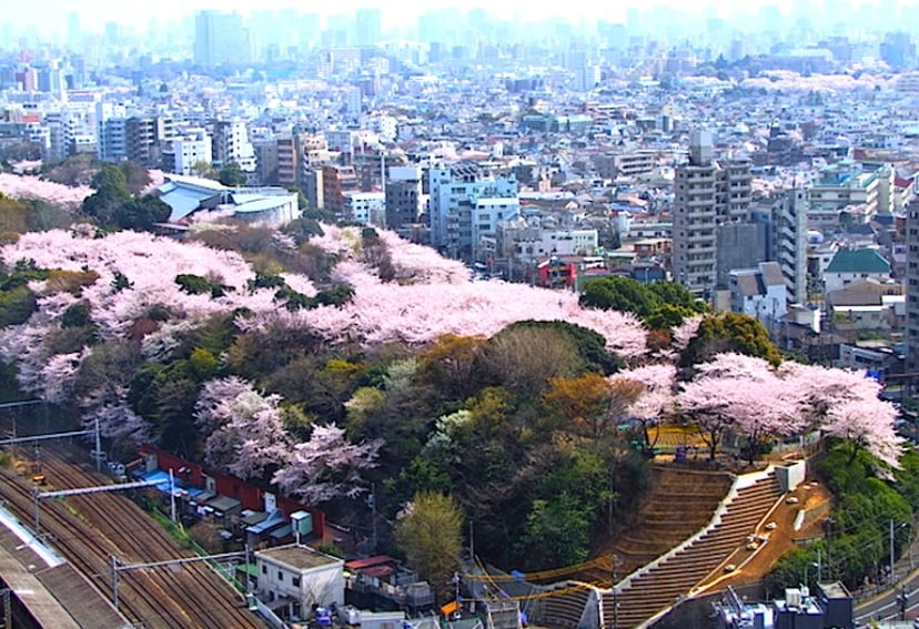 飛鳥山公園