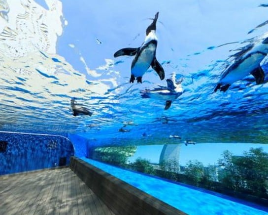 サンシャイン水族館